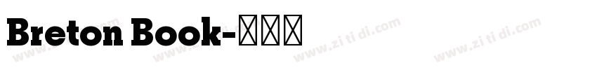 Breton Book字体转换